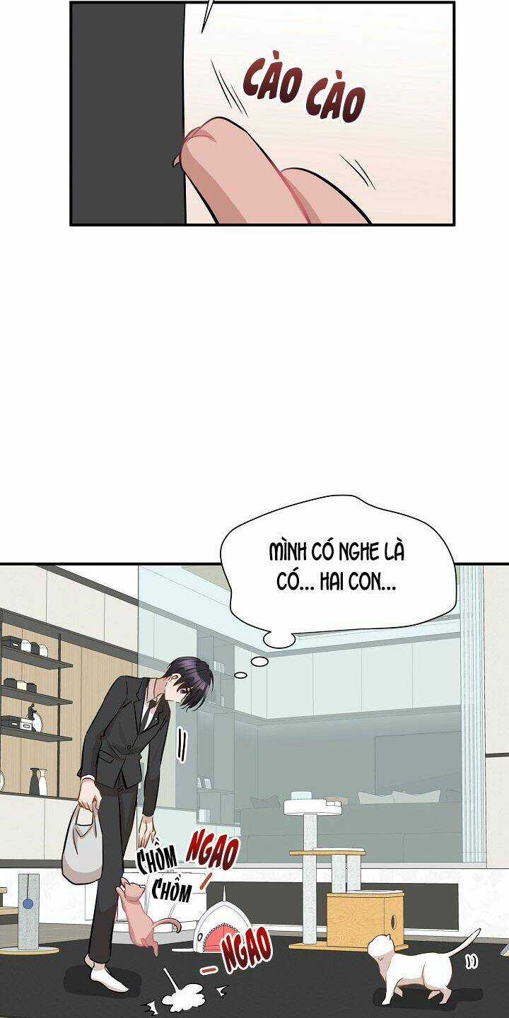 Cuộc Sống Kỳ Thú - Chapter 45 - Trang 37
