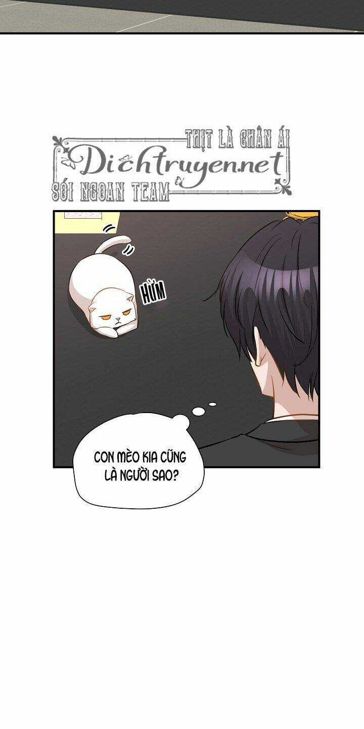 Cuộc Sống Kỳ Thú - Chapter 45 - Trang 38