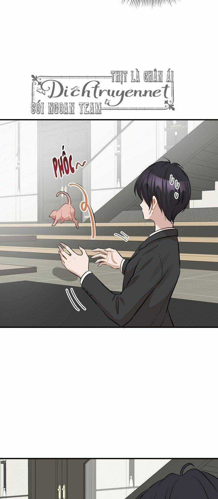Cuộc Sống Kỳ Thú - Chapter 45 - Trang 47