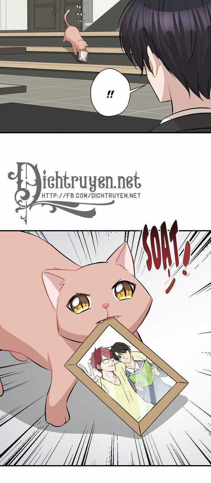 Cuộc Sống Kỳ Thú - Chapter 45 - Trang 48