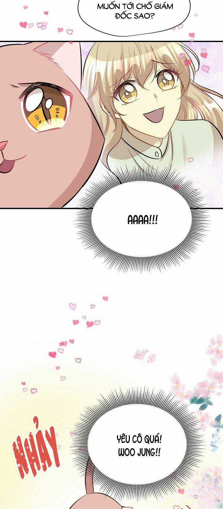 Cuộc Sống Kỳ Thú - Chapter 45 - Trang 50