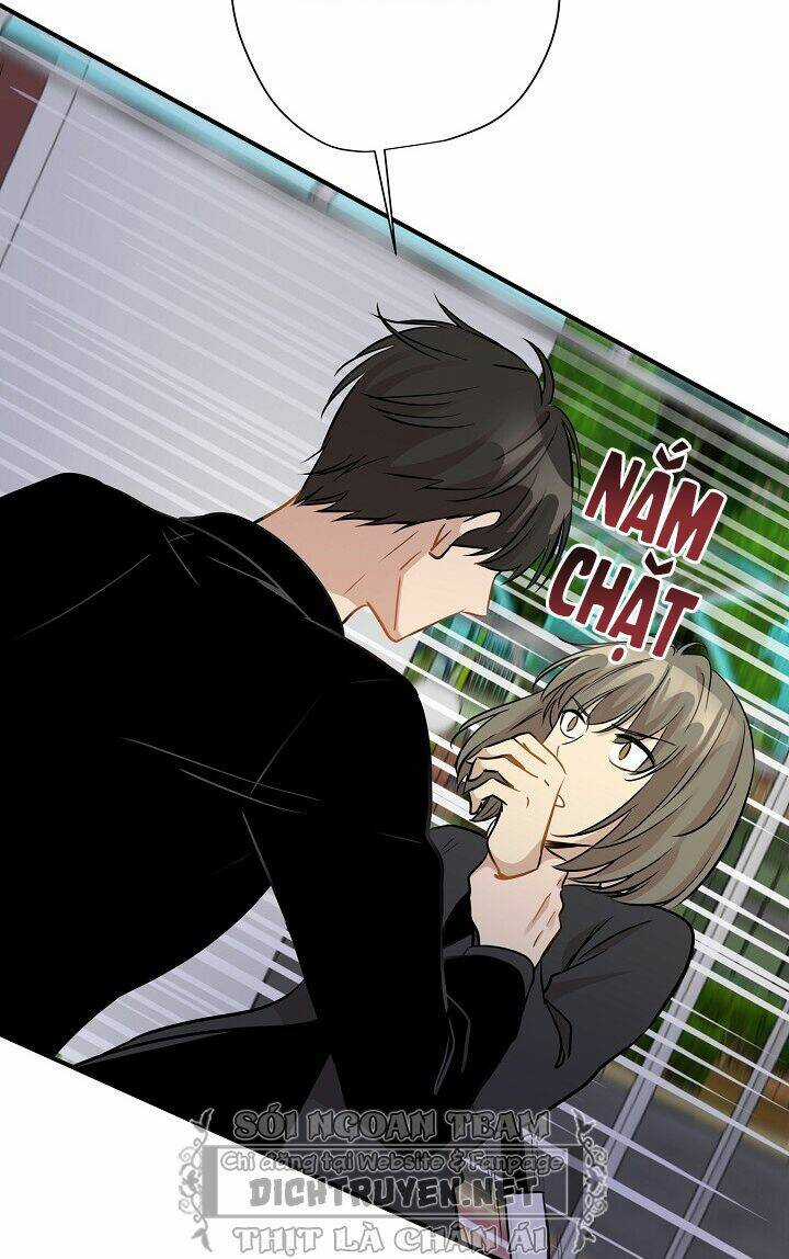 Cuộc Sống Kỳ Thú - Chapter 46 - Trang 40