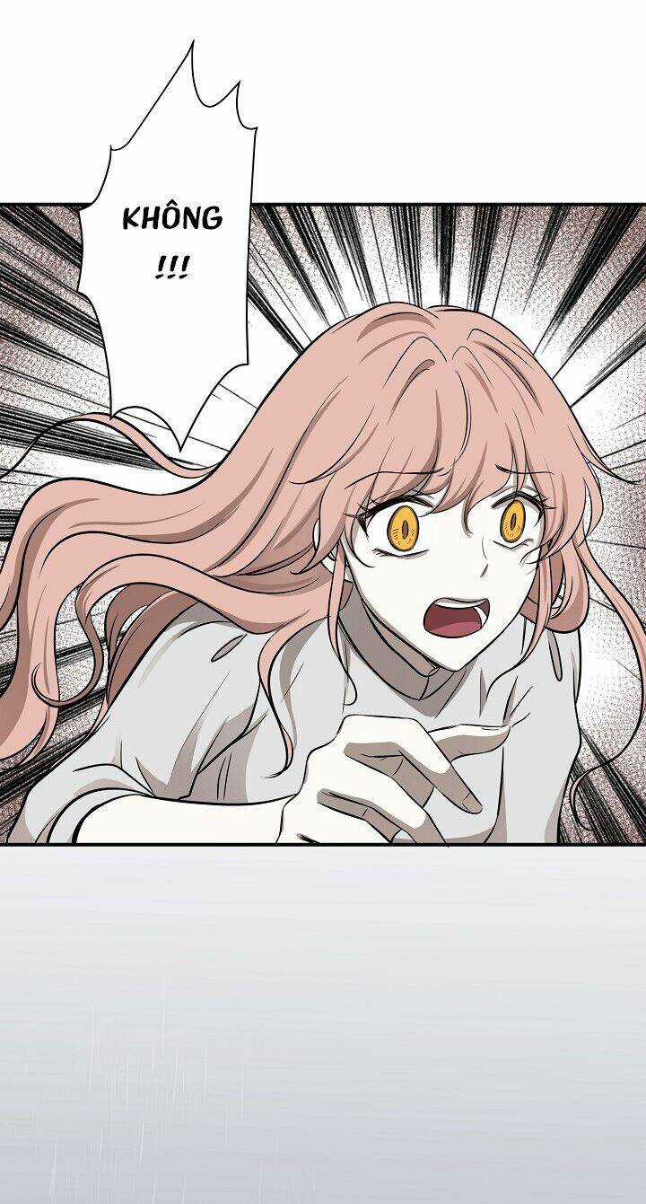 Cuộc Sống Kỳ Thú - Chapter 46 - Trang 51
