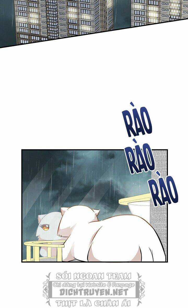 Cuộc Sống Kỳ Thú - Chapter 46 - Trang 55