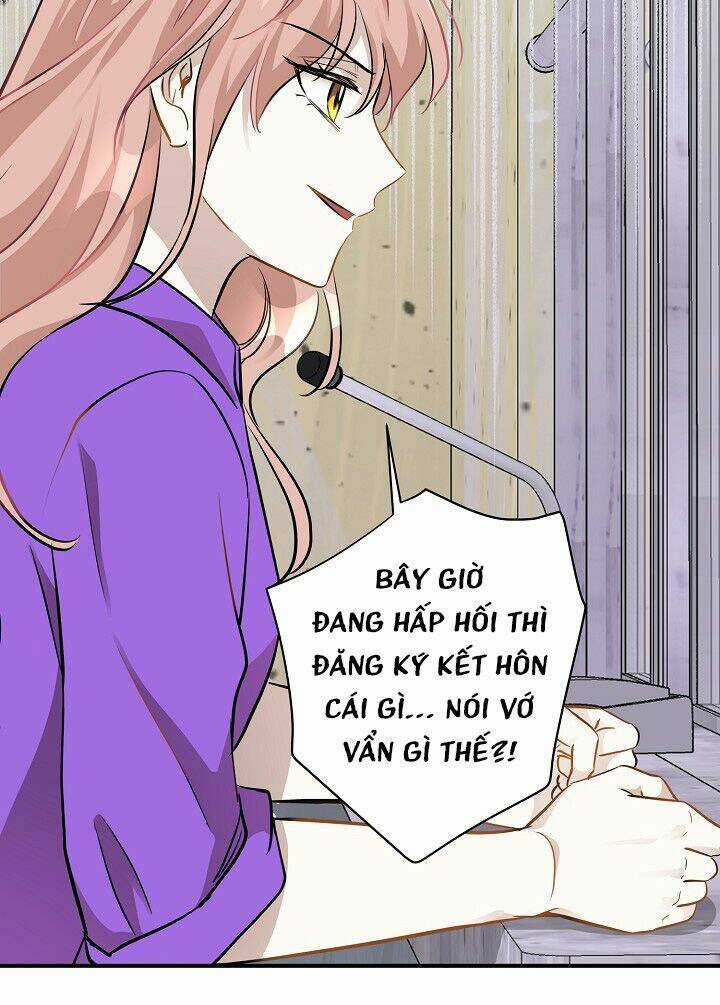 Cuộc Sống Kỳ Thú - Chapter 47 - Trang 43