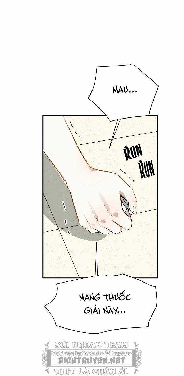 Cuộc Sống Kỳ Thú - Chapter 48 - Trang 14