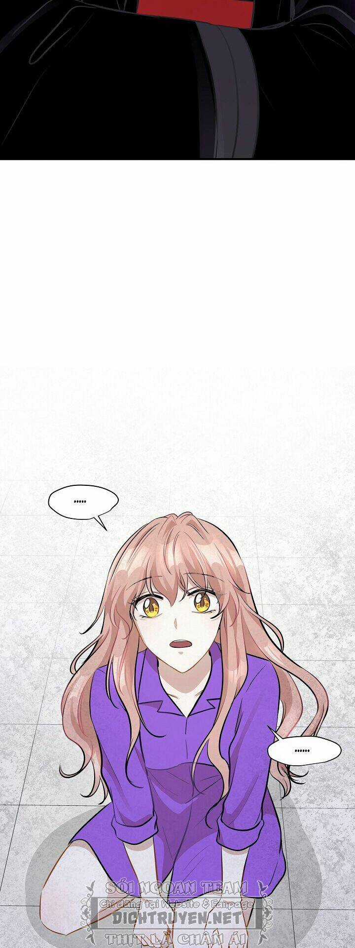 Cuộc Sống Kỳ Thú - Chapter 48 - Trang 23