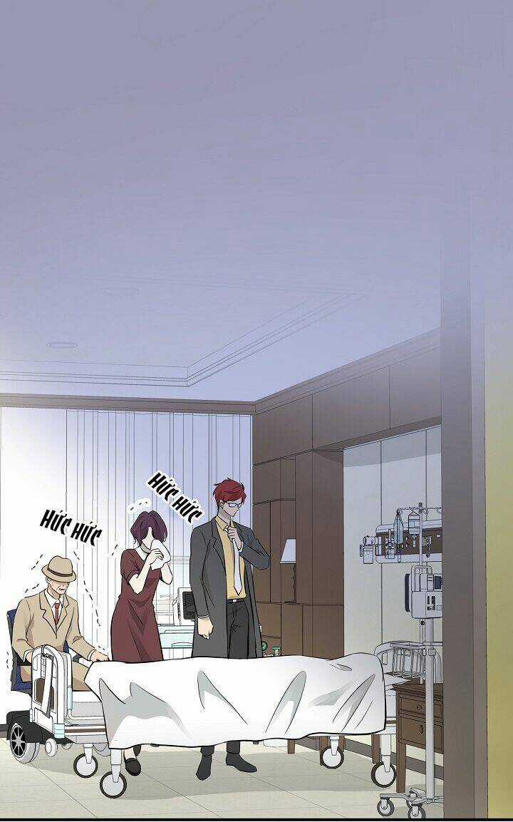 Cuộc Sống Kỳ Thú - Chapter 48 - Trang 29