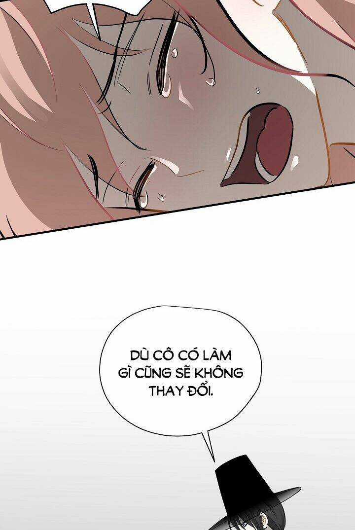 Cuộc Sống Kỳ Thú - Chapter 48 - Trang 41