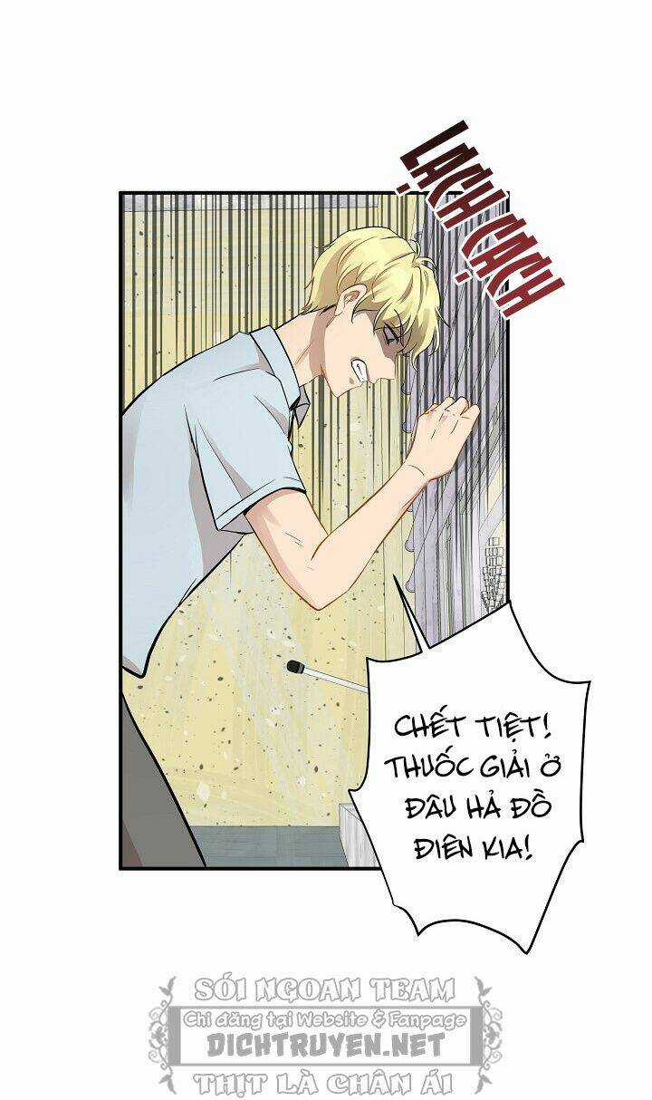 Cuộc Sống Kỳ Thú - Chapter 48 - Trang 7