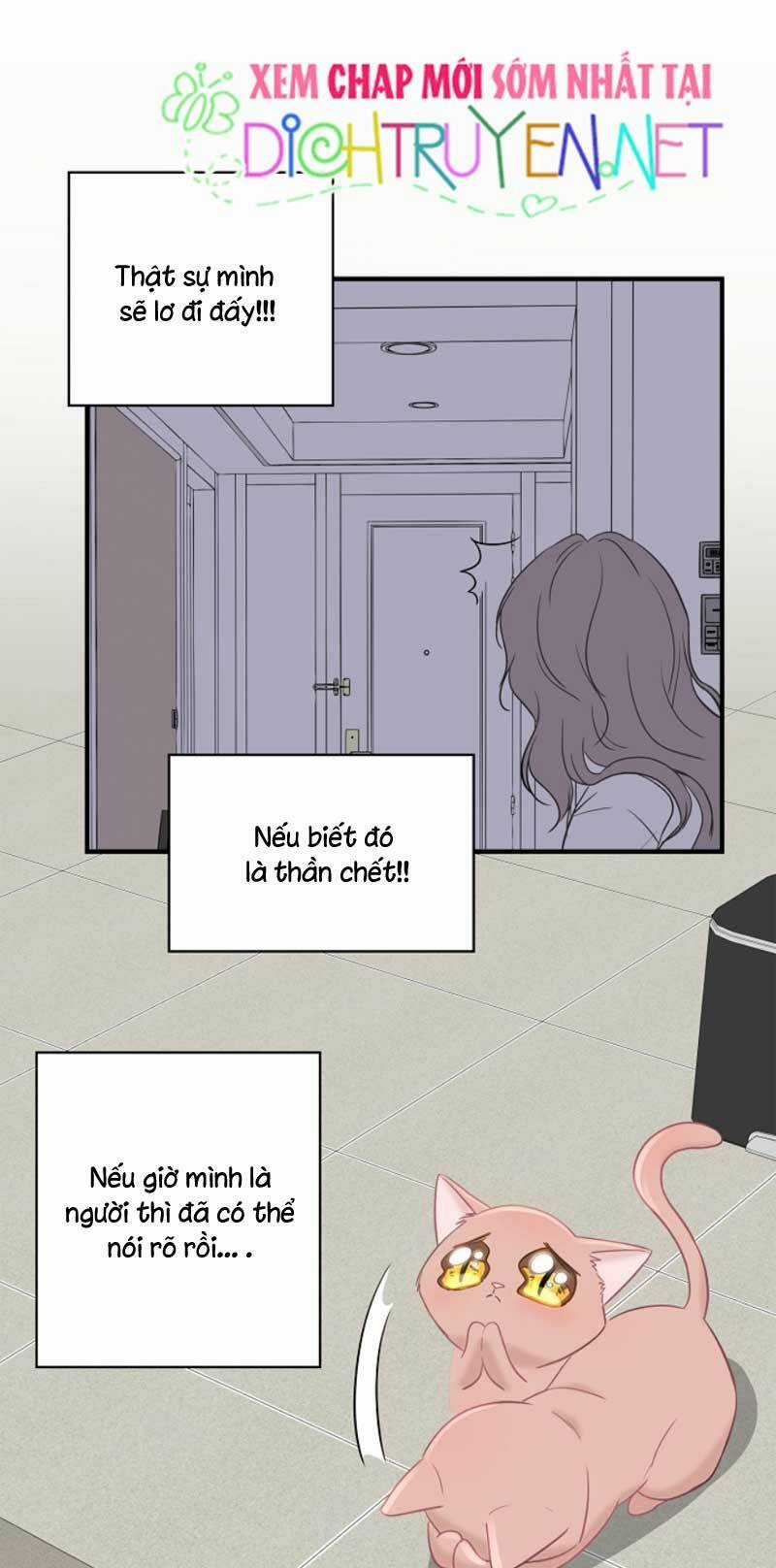 Cuộc Sống Kỳ Thú - Chapter 5 - Trang 26