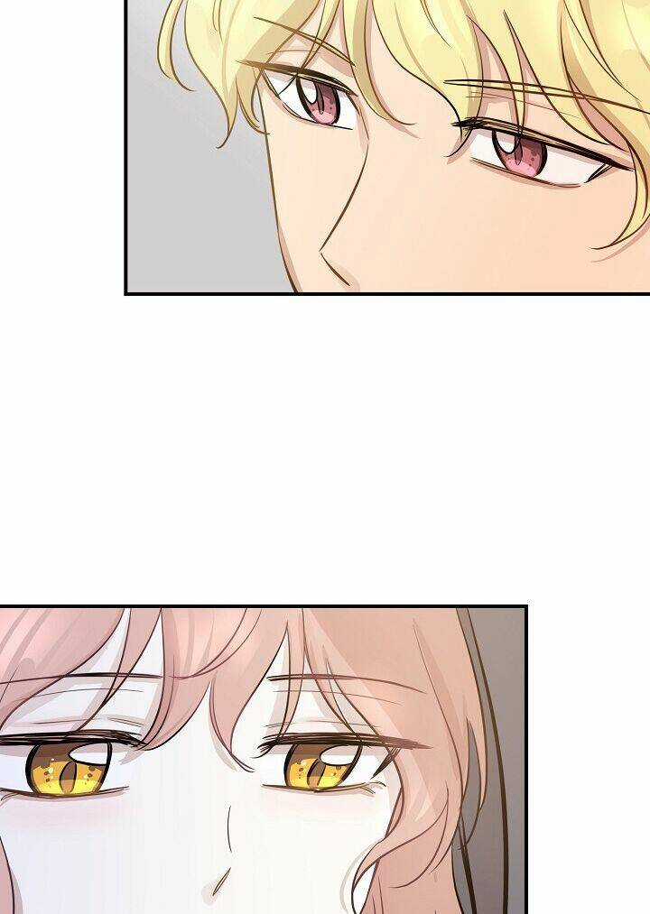 Cuộc Sống Kỳ Thú - Chapter 50 - Trang 23