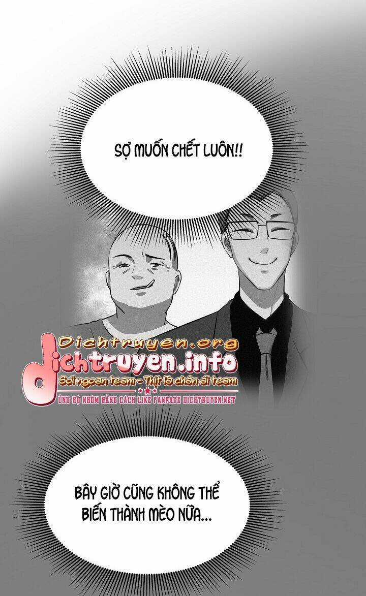 Cuộc Sống Kỳ Thú - Chapter 51 - Trang 5