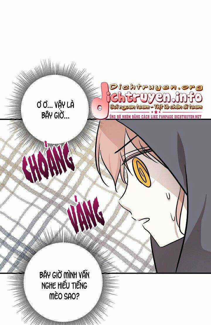 Cuộc Sống Kỳ Thú - Chapter 52 - Trang 28