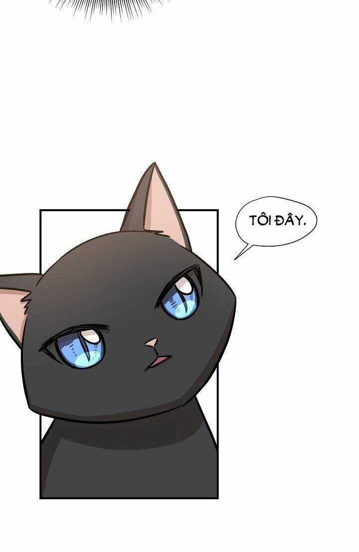 Cuộc Sống Kỳ Thú - Chapter 52 - Trang 29