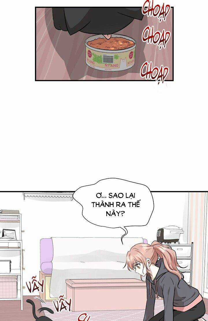 Cuộc Sống Kỳ Thú - Chapter 52 - Trang 34
