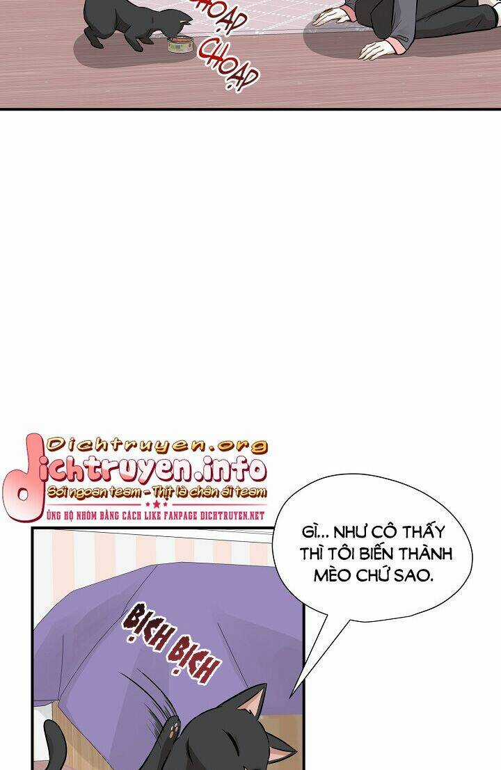 Cuộc Sống Kỳ Thú - Chapter 52 - Trang 35