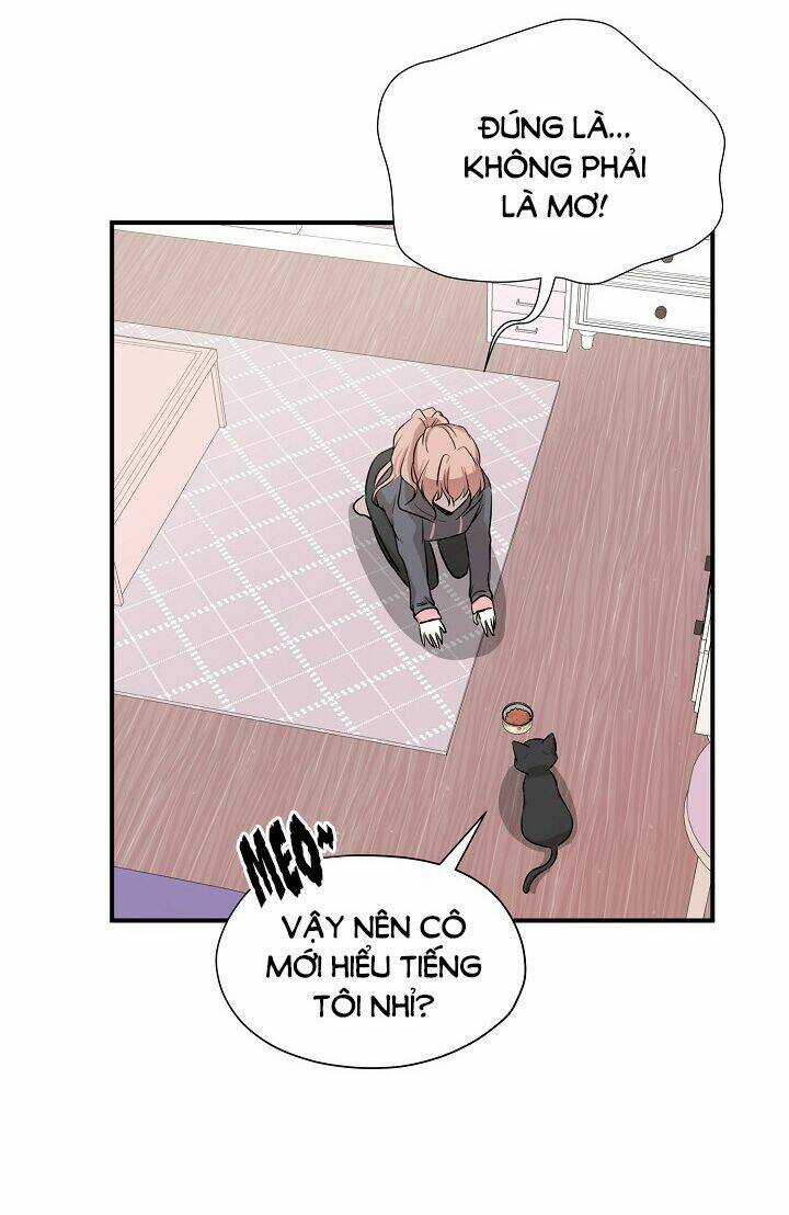Cuộc Sống Kỳ Thú - Chapter 52 - Trang 38