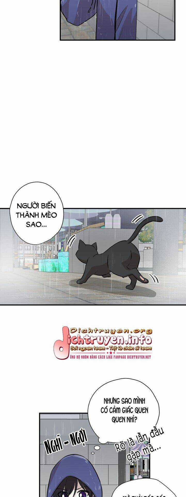 Cuộc Sống Kỳ Thú - Chapter 55 - Trang 18