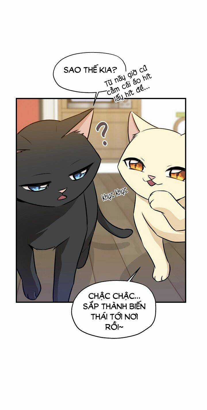 Cuộc Sống Kỳ Thú - Chapter 58 - Trang 15