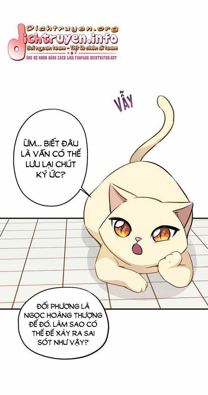 Cuộc Sống Kỳ Thú - Chapter 58 - Trang 20