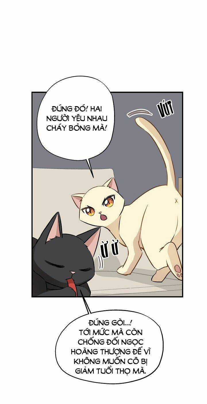 Cuộc Sống Kỳ Thú - Chapter 58 - Trang 24