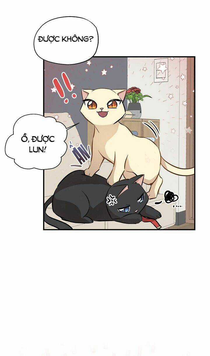Cuộc Sống Kỳ Thú - Chapter 58 - Trang 36