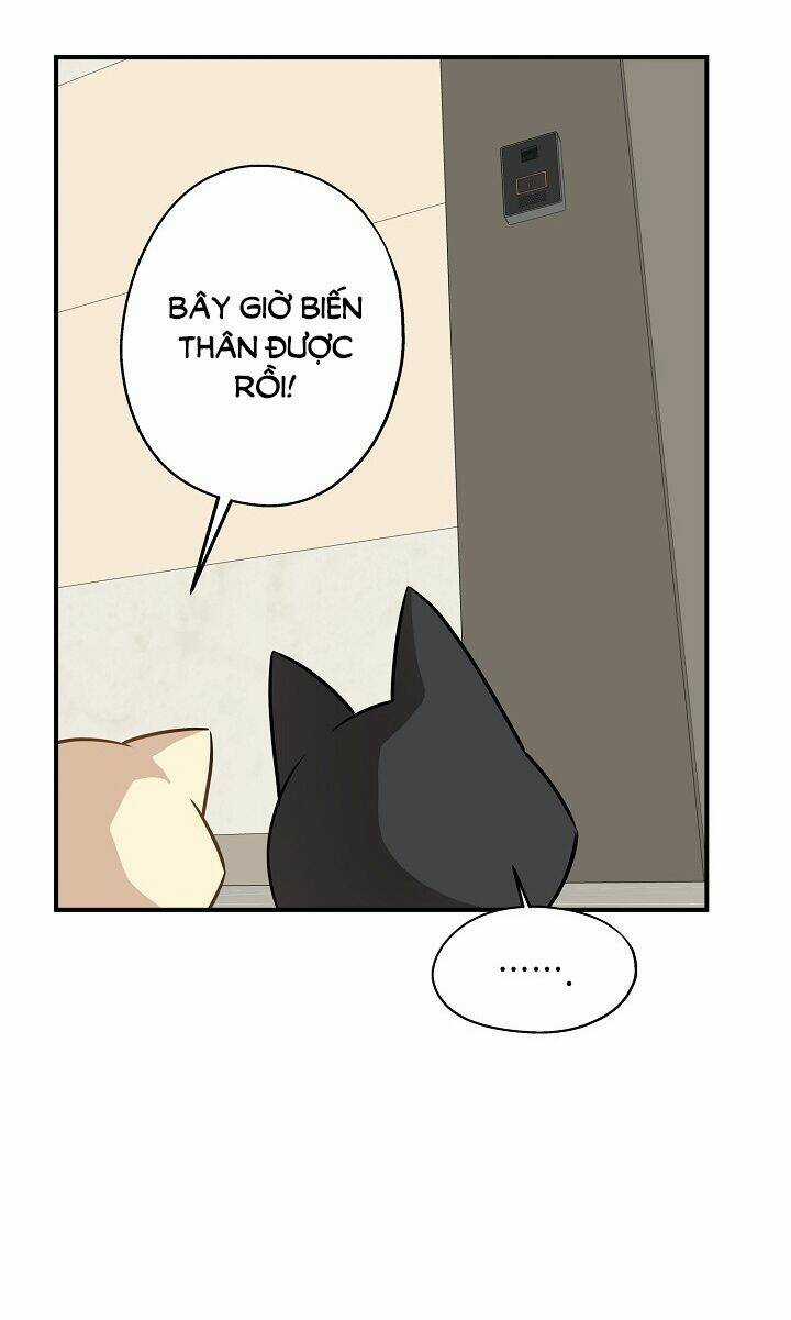 Cuộc Sống Kỳ Thú - Chapter 58 - Trang 61