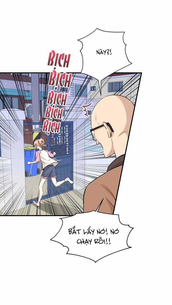 Cuộc Sống Kỳ Thú - Chapter 59 - Trang 9