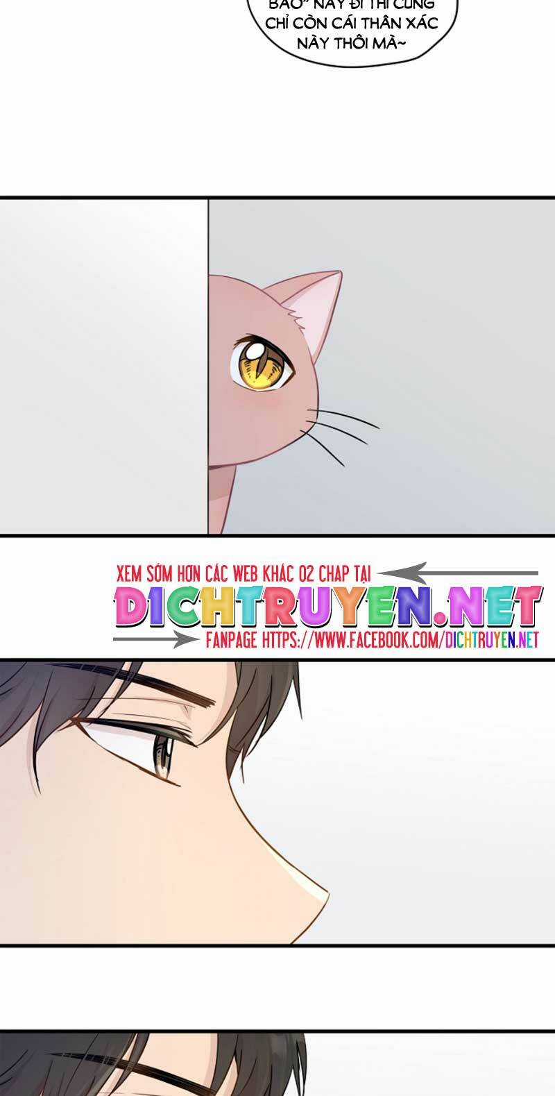 Cuộc Sống Kỳ Thú - Chapter 6 - Trang 17