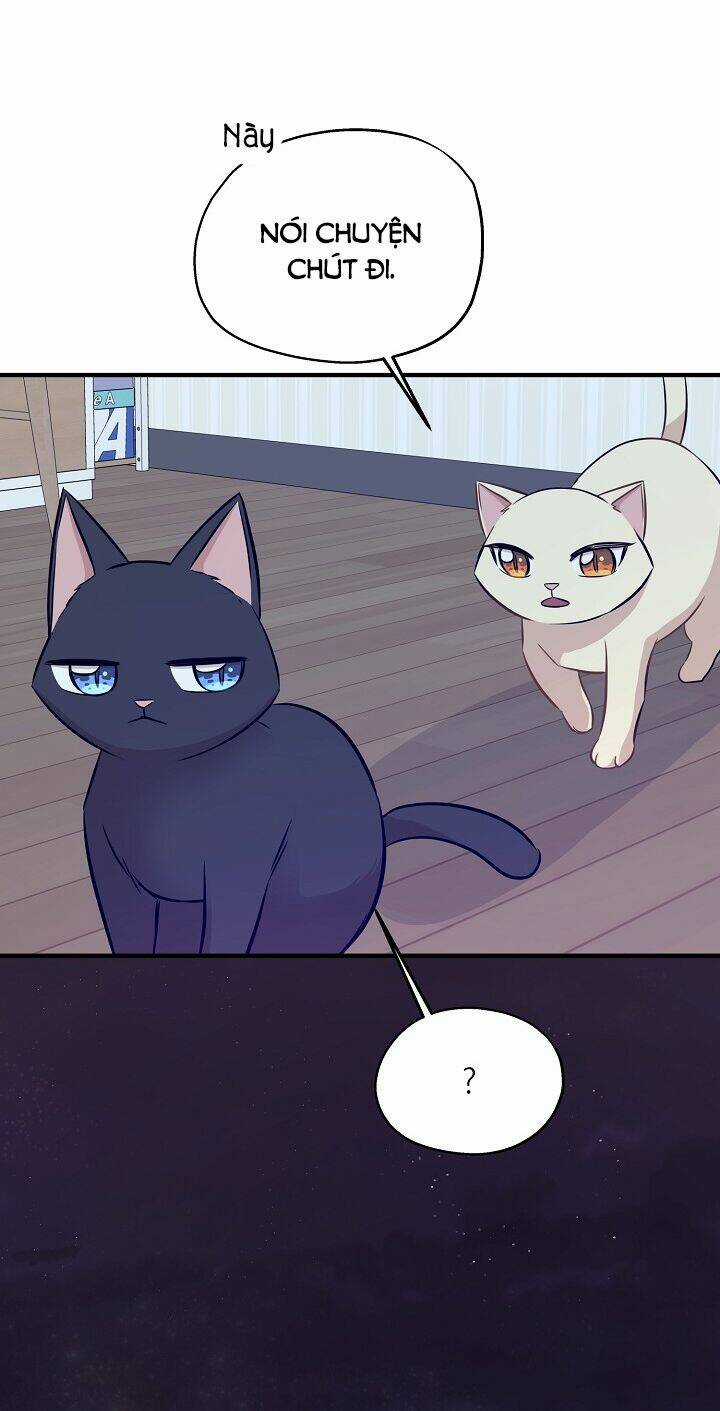 Cuộc Sống Kỳ Thú - Chapter 60 - Trang 16