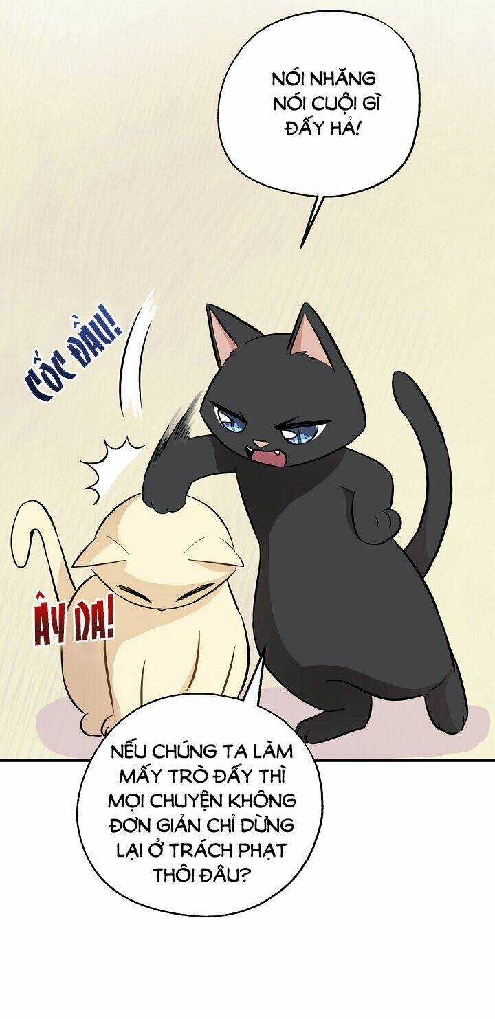 Cuộc Sống Kỳ Thú - Chapter 60 - Trang 10