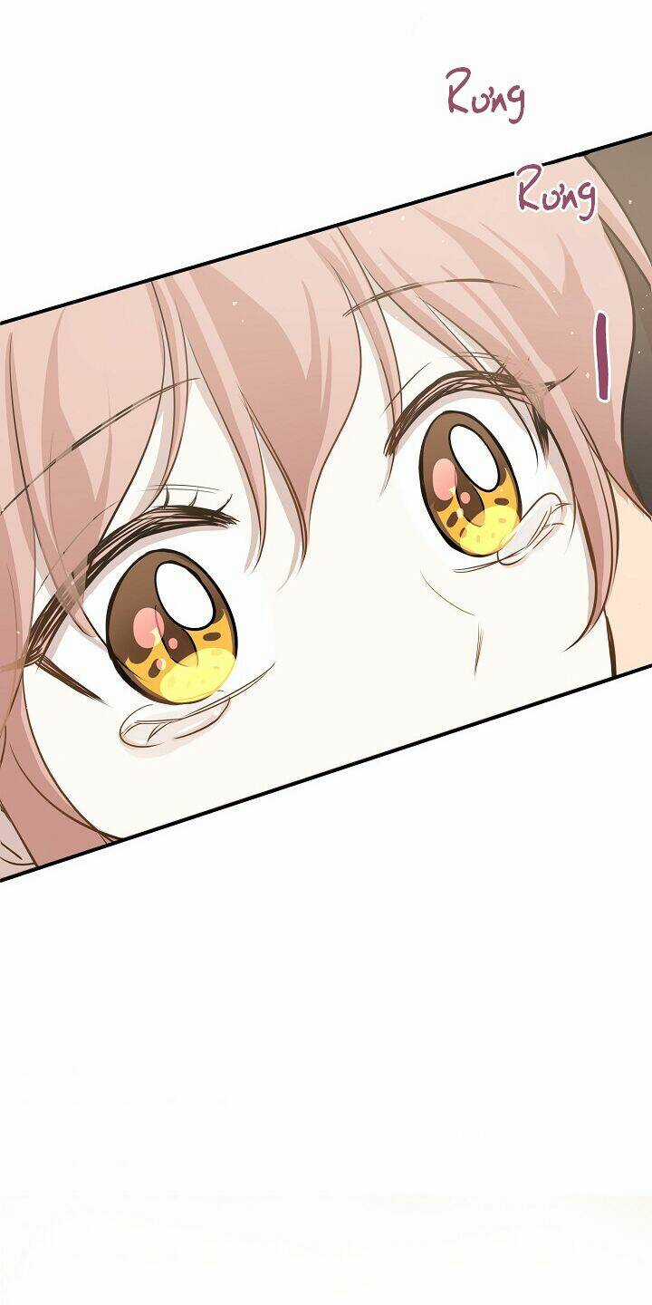 Cuộc Sống Kỳ Thú - Chapter 63 - Trang 27