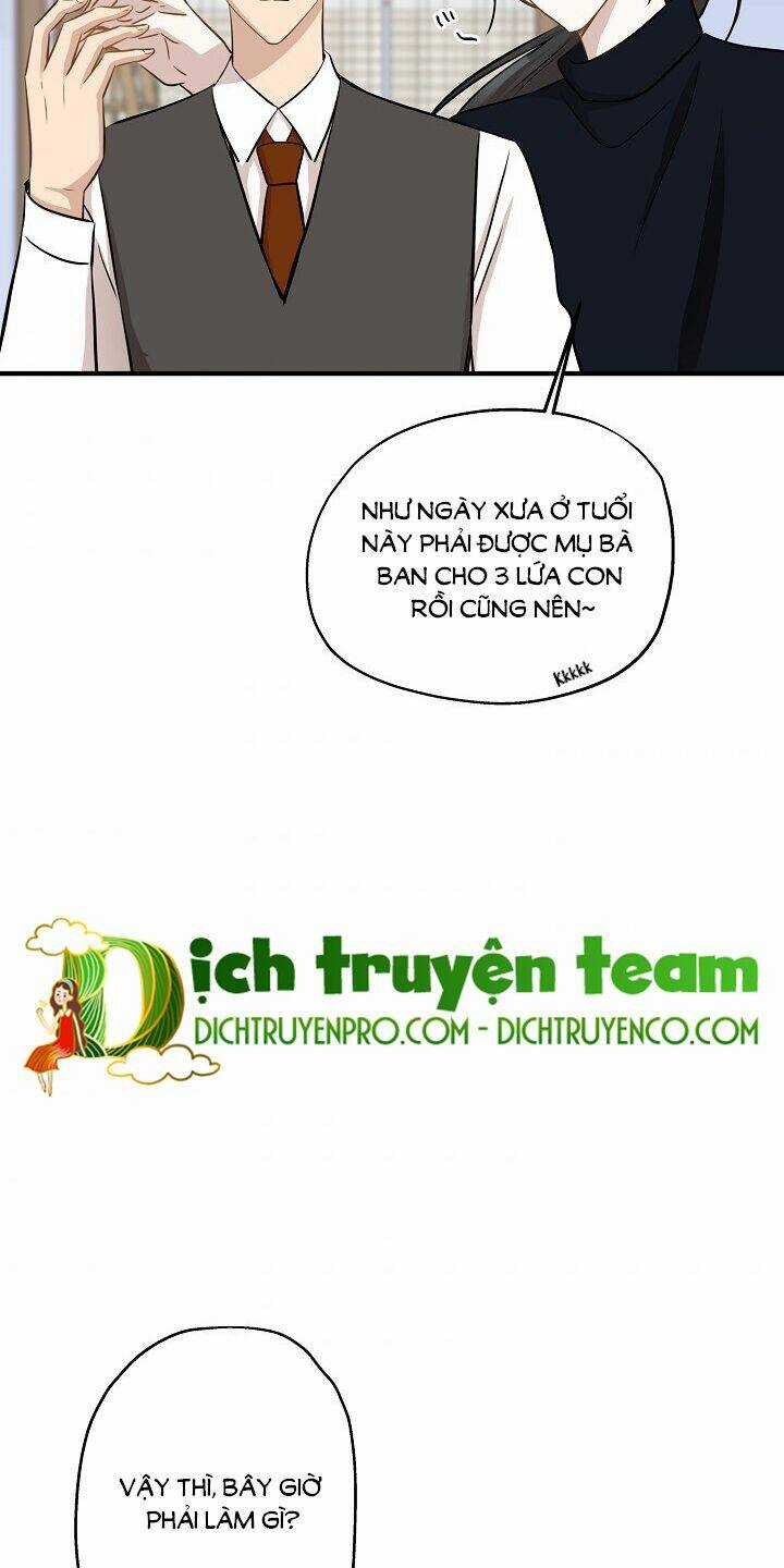 Cuộc Sống Kỳ Thú - Chapter 63 - Trang 50