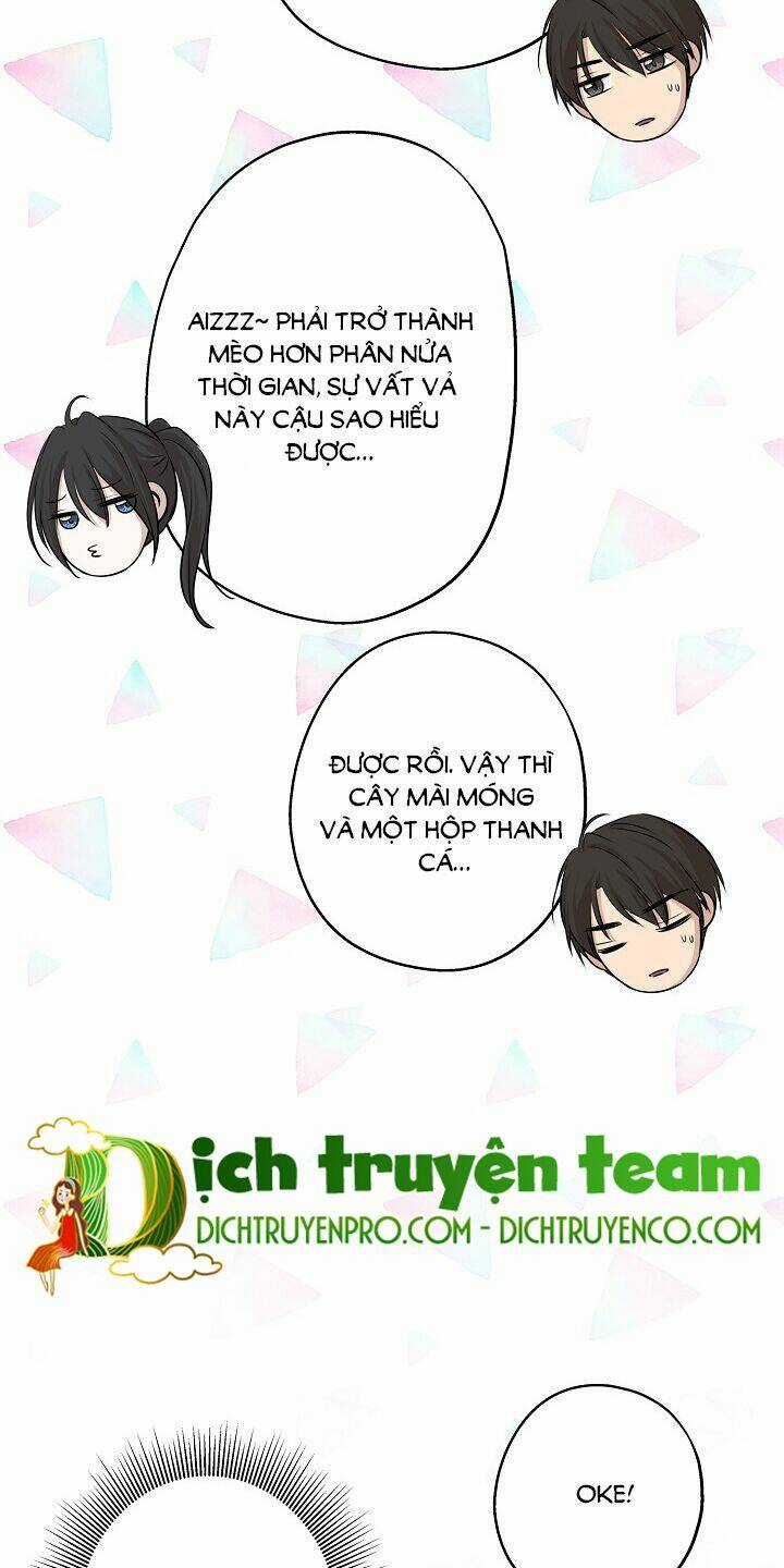 Cuộc Sống Kỳ Thú - Chapter 63 - Trang 53