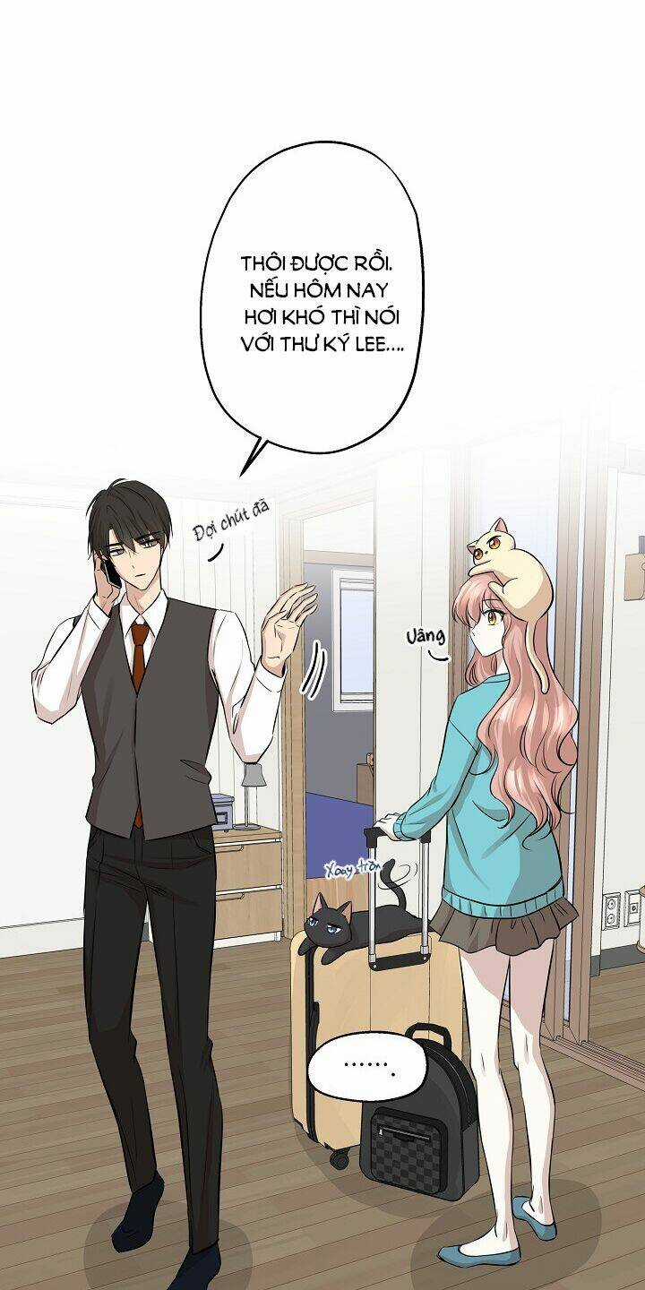 Cuộc Sống Kỳ Thú - Chapter 63 - Trang 56