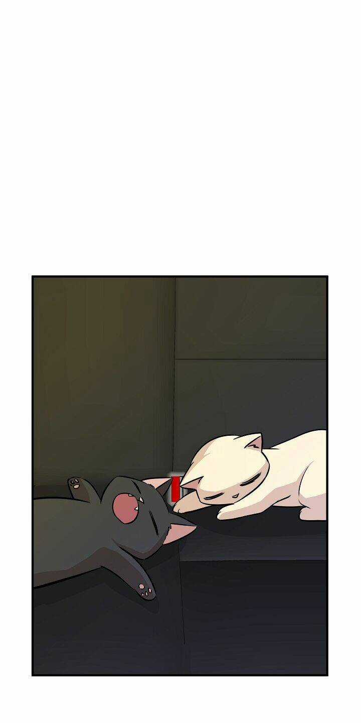 Cuộc Sống Kỳ Thú - Chapter 63 - Trang 67