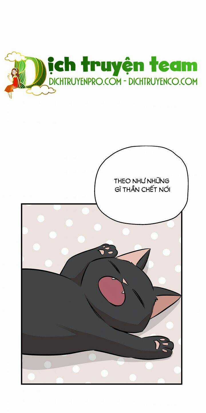 Cuộc Sống Kỳ Thú - Chapter 63 - Trang 71