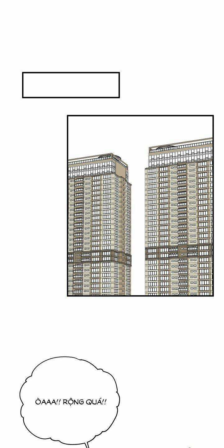 Cuộc Sống Kỳ Thú - Chapter 64 - Trang 16