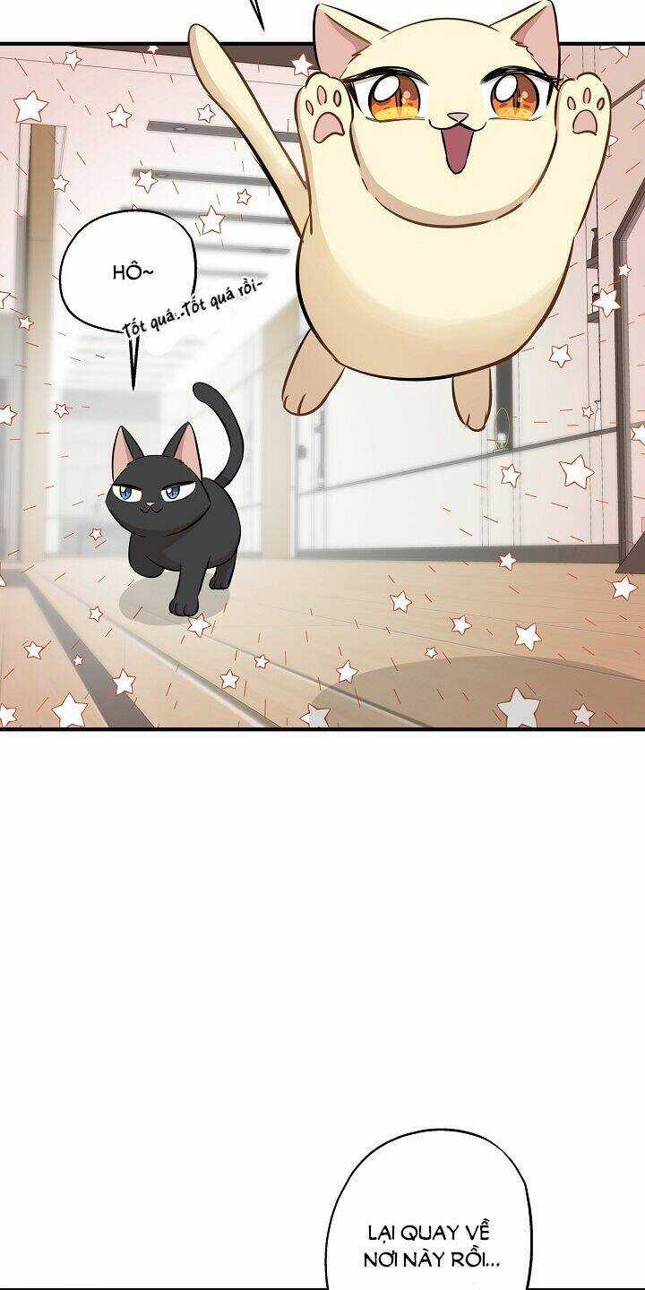 Cuộc Sống Kỳ Thú - Chapter 64 - Trang 17