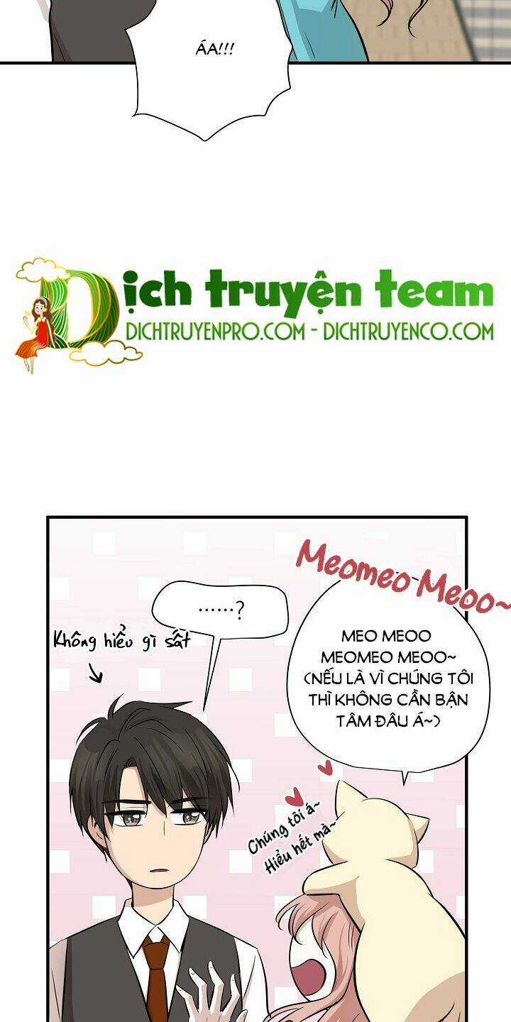 Cuộc Sống Kỳ Thú - Chapter 64 - Trang 26