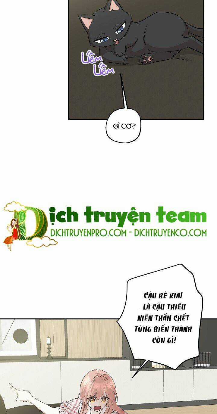 Cuộc Sống Kỳ Thú - Chapter 67 - Trang 12