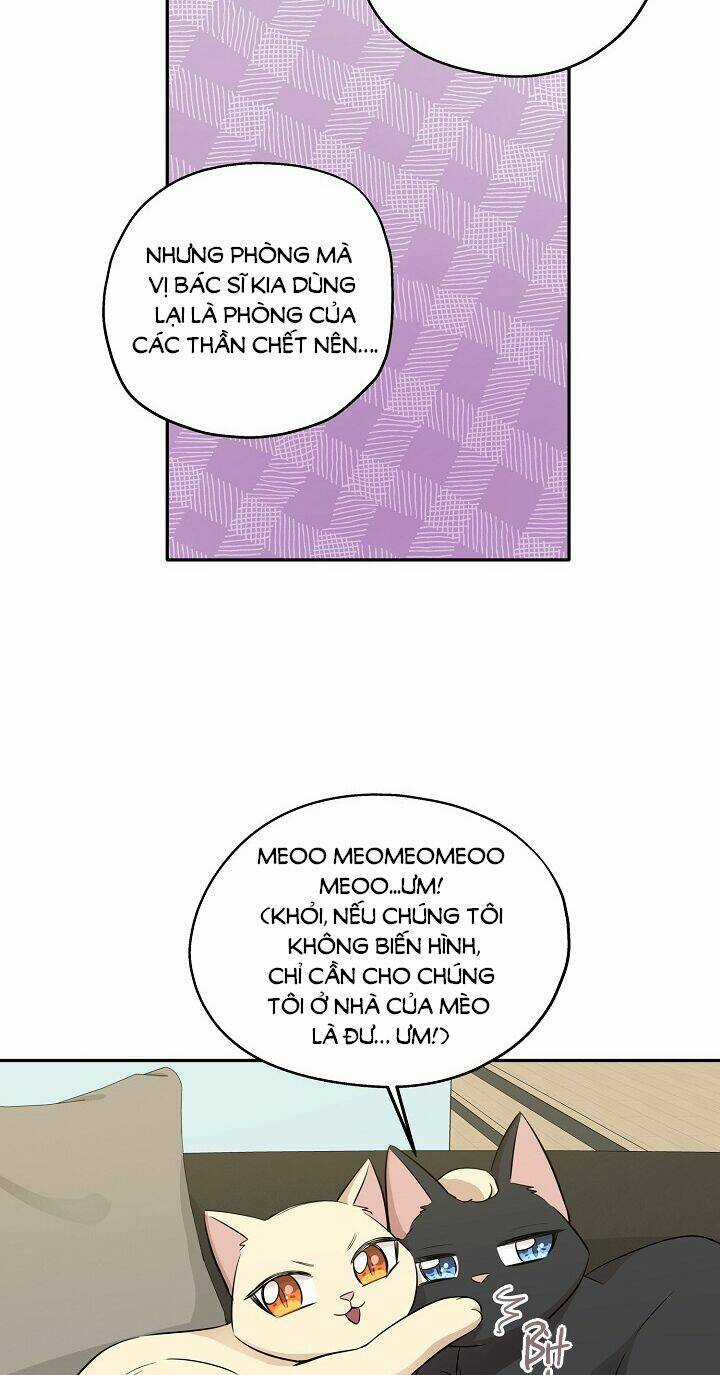 Cuộc Sống Kỳ Thú - Chapter 67 - Trang 23
