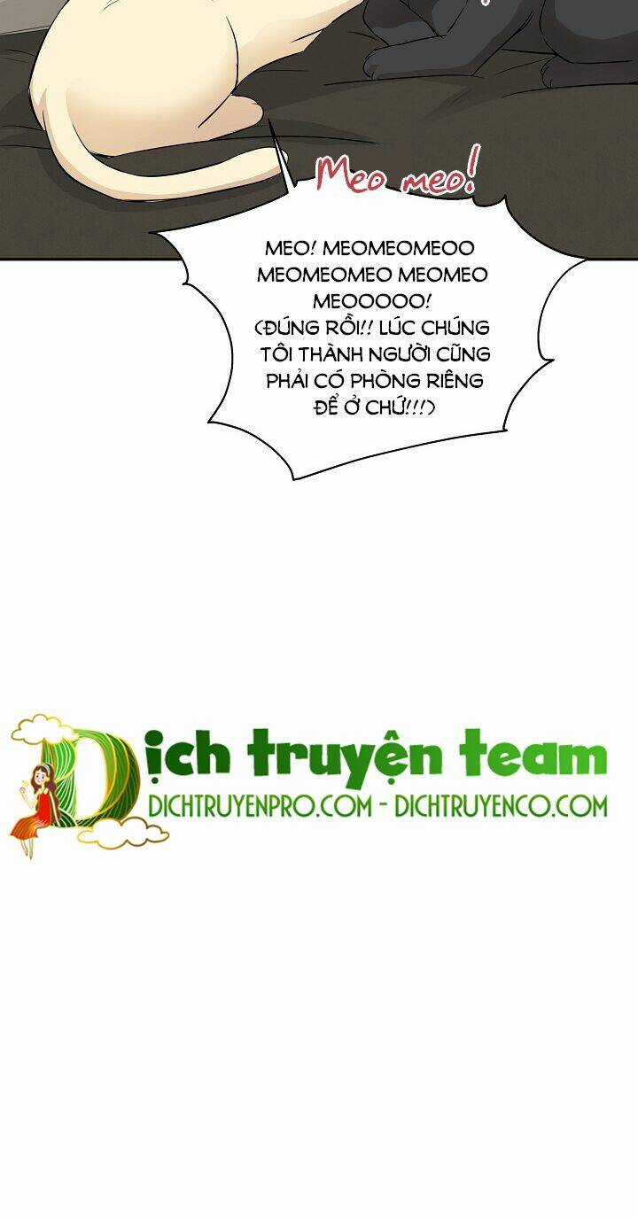 Cuộc Sống Kỳ Thú - Chapter 67 - Trang 24