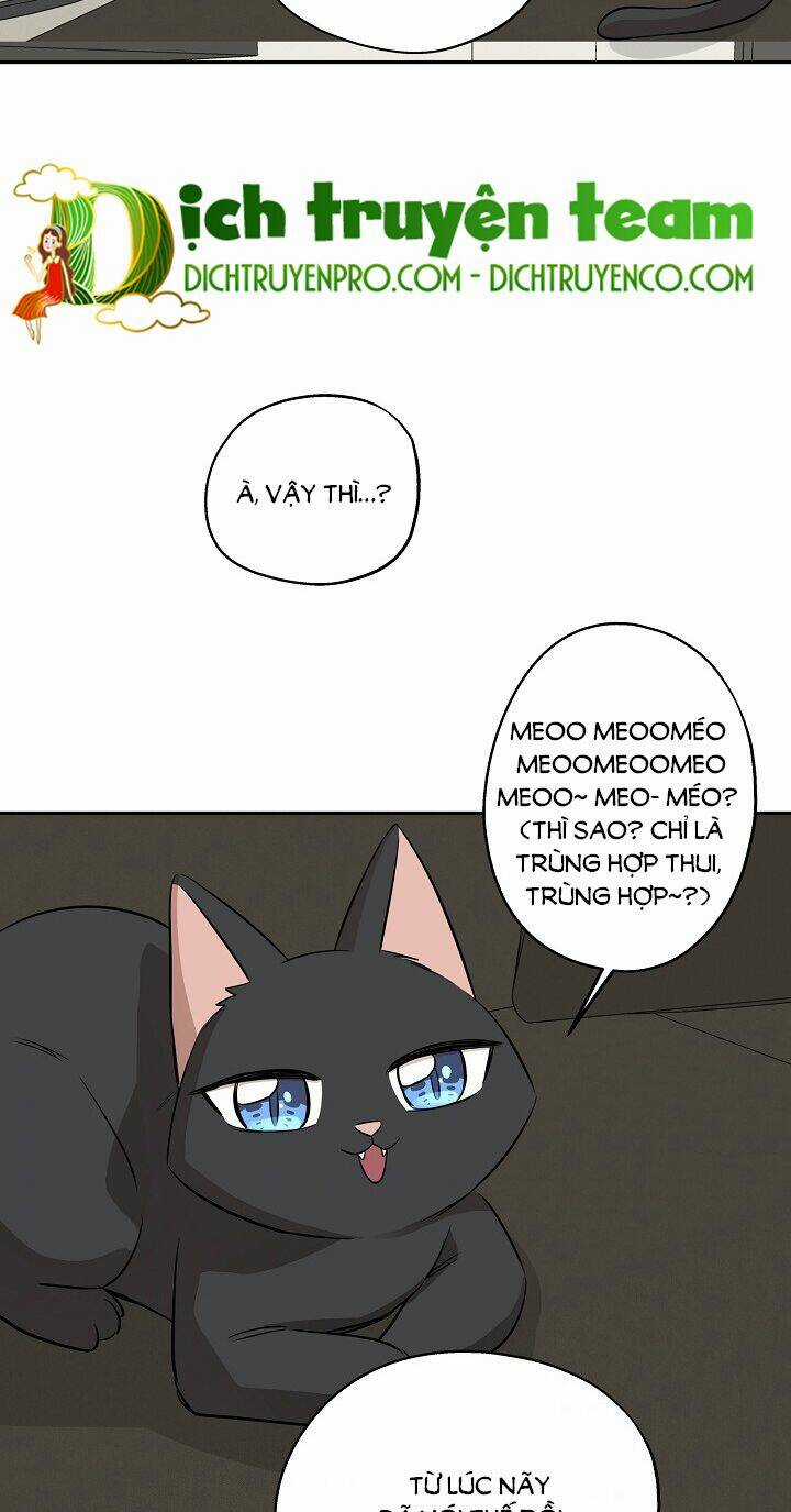 Cuộc Sống Kỳ Thú - Chapter 67 - Trang 36