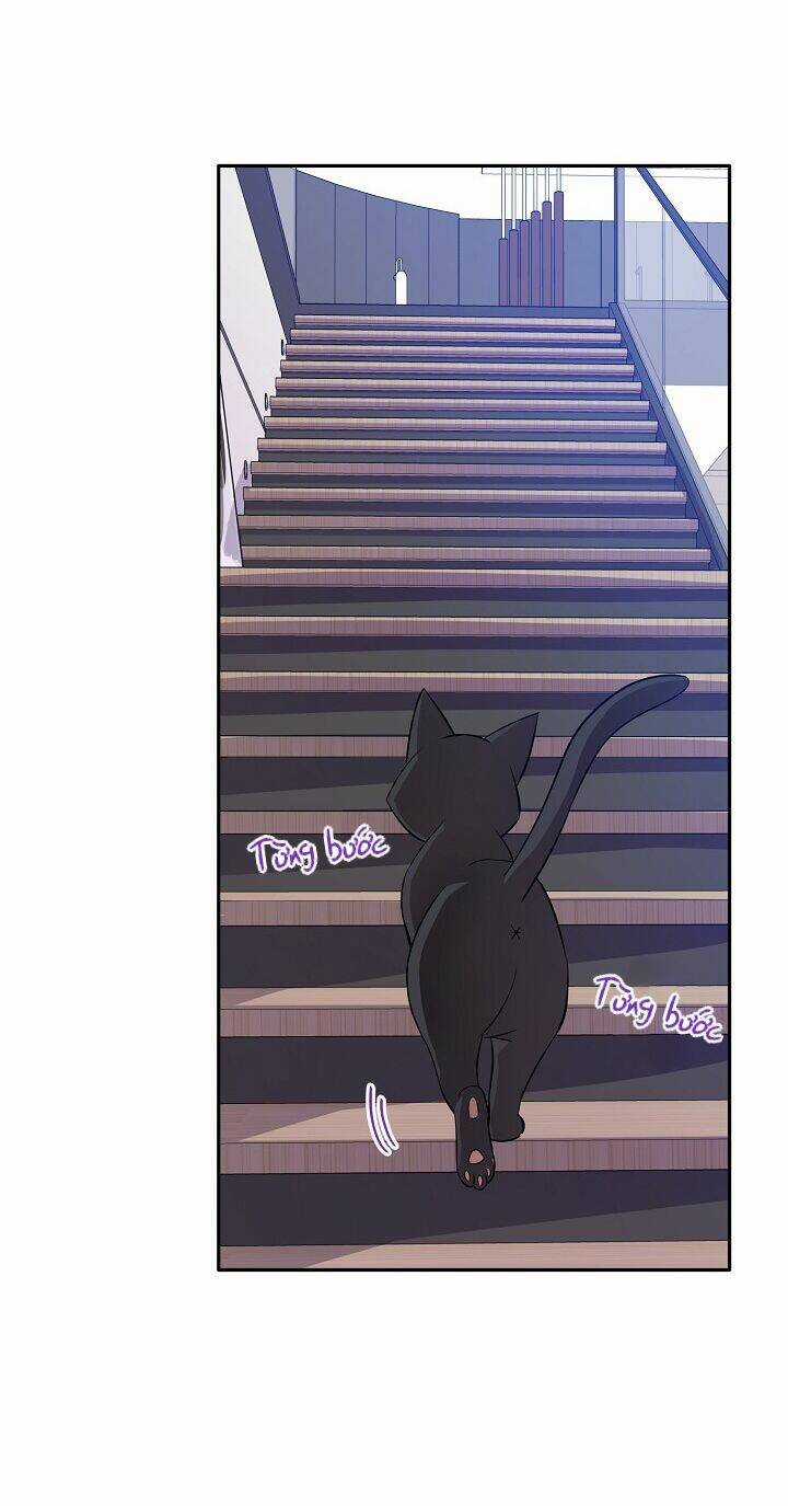 Cuộc Sống Kỳ Thú - Chapter 68 - Trang 23