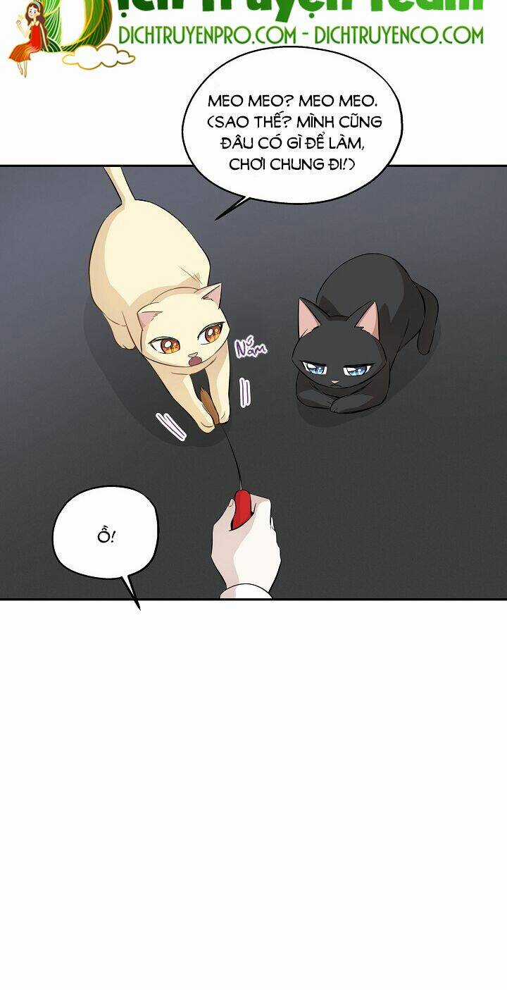 Cuộc Sống Kỳ Thú - Chapter 69 - Trang 4