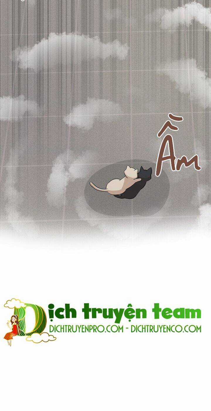 Cuộc Sống Kỳ Thú - Chapter 69 - Trang 31