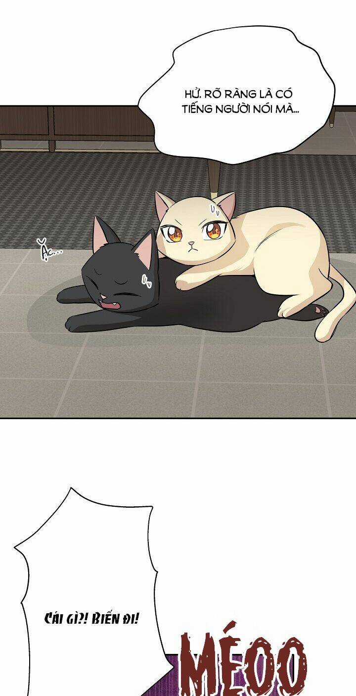 Cuộc Sống Kỳ Thú - Chapter 69 - Trang 32