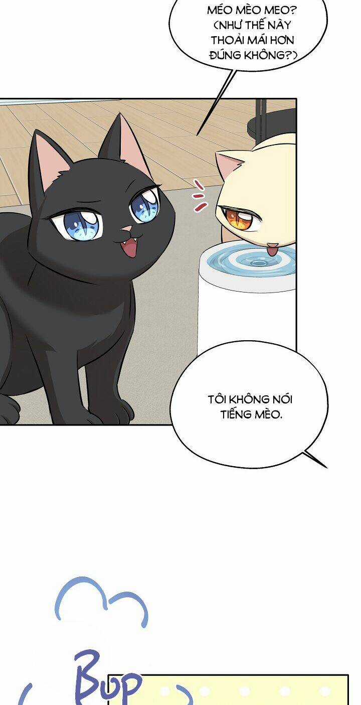 Cuộc Sống Kỳ Thú - Chapter 69 - Trang 43